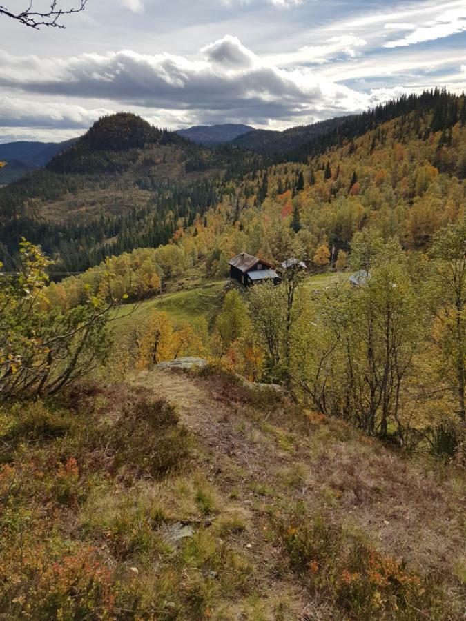 Leilighet I Amotsdal Exterior foto