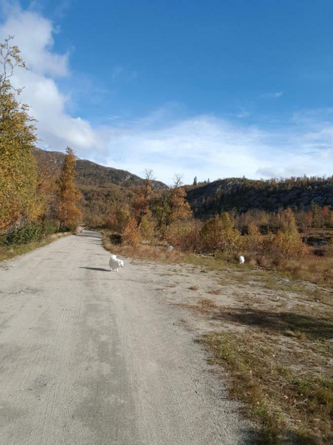 Leilighet I Amotsdal Exterior foto
